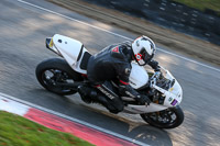 brands-hatch-photographs;brands-no-limits-trackday;cadwell-trackday-photographs;enduro-digital-images;event-digital-images;eventdigitalimages;no-limits-trackdays;peter-wileman-photography;racing-digital-images;trackday-digital-images;trackday-photos