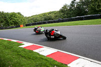 cadwell-no-limits-trackday;cadwell-park;cadwell-park-photographs;cadwell-trackday-photographs;enduro-digital-images;event-digital-images;eventdigitalimages;no-limits-trackdays;peter-wileman-photography;racing-digital-images;trackday-digital-images;trackday-photos