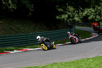 cadwell-no-limits-trackday;cadwell-park;cadwell-park-photographs;cadwell-trackday-photographs;enduro-digital-images;event-digital-images;eventdigitalimages;no-limits-trackdays;peter-wileman-photography;racing-digital-images;trackday-digital-images;trackday-photos