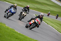 brands-hatch-photographs;brands-no-limits-trackday;cadwell-trackday-photographs;enduro-digital-images;event-digital-images;eventdigitalimages;no-limits-trackdays;peter-wileman-photography;racing-digital-images;trackday-digital-images;trackday-photos