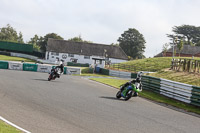 Fast Group Green/Yellow Bikes