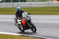 Novice Group Orange Bikes