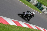 cadwell-no-limits-trackday;cadwell-park;cadwell-park-photographs;cadwell-trackday-photographs;enduro-digital-images;event-digital-images;eventdigitalimages;no-limits-trackdays;peter-wileman-photography;racing-digital-images;trackday-digital-images;trackday-photos