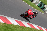 cadwell-no-limits-trackday;cadwell-park;cadwell-park-photographs;cadwell-trackday-photographs;enduro-digital-images;event-digital-images;eventdigitalimages;no-limits-trackdays;peter-wileman-photography;racing-digital-images;trackday-digital-images;trackday-photos