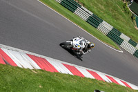 cadwell-no-limits-trackday;cadwell-park;cadwell-park-photographs;cadwell-trackday-photographs;enduro-digital-images;event-digital-images;eventdigitalimages;no-limits-trackdays;peter-wileman-photography;racing-digital-images;trackday-digital-images;trackday-photos