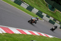 cadwell-no-limits-trackday;cadwell-park;cadwell-park-photographs;cadwell-trackday-photographs;enduro-digital-images;event-digital-images;eventdigitalimages;no-limits-trackdays;peter-wileman-photography;racing-digital-images;trackday-digital-images;trackday-photos