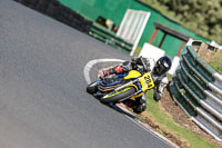 Fast Group Yellow Bikes