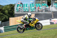 Fast Group Yellow Bikes