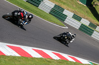 cadwell-no-limits-trackday;cadwell-park;cadwell-park-photographs;cadwell-trackday-photographs;enduro-digital-images;event-digital-images;eventdigitalimages;no-limits-trackdays;peter-wileman-photography;racing-digital-images;trackday-digital-images;trackday-photos