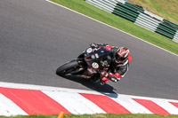 cadwell-no-limits-trackday;cadwell-park;cadwell-park-photographs;cadwell-trackday-photographs;enduro-digital-images;event-digital-images;eventdigitalimages;no-limits-trackdays;peter-wileman-photography;racing-digital-images;trackday-digital-images;trackday-photos