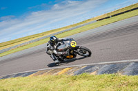 anglesey-no-limits-trackday;anglesey-photographs;anglesey-trackday-photographs;enduro-digital-images;event-digital-images;eventdigitalimages;no-limits-trackdays;peter-wileman-photography;racing-digital-images;trac-mon;trackday-digital-images;trackday-photos;ty-croes