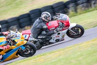 anglesey-no-limits-trackday;anglesey-photographs;anglesey-trackday-photographs;enduro-digital-images;event-digital-images;eventdigitalimages;no-limits-trackdays;peter-wileman-photography;racing-digital-images;trac-mon;trackday-digital-images;trackday-photos;ty-croes