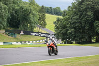 Fast Orange Bikes