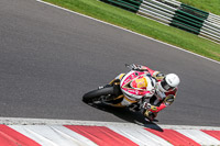 cadwell-no-limits-trackday;cadwell-park;cadwell-park-photographs;cadwell-trackday-photographs;enduro-digital-images;event-digital-images;eventdigitalimages;no-limits-trackdays;peter-wileman-photography;racing-digital-images;trackday-digital-images;trackday-photos