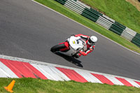 cadwell-no-limits-trackday;cadwell-park;cadwell-park-photographs;cadwell-trackday-photographs;enduro-digital-images;event-digital-images;eventdigitalimages;no-limits-trackdays;peter-wileman-photography;racing-digital-images;trackday-digital-images;trackday-photos