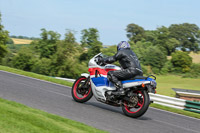 cadwell-no-limits-trackday;cadwell-park;cadwell-park-photographs;cadwell-trackday-photographs;enduro-digital-images;event-digital-images;eventdigitalimages;no-limits-trackdays;peter-wileman-photography;racing-digital-images;trackday-digital-images;trackday-photos