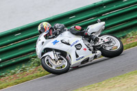 enduro-digital-images;event-digital-images;eventdigitalimages;mallory-park;mallory-park-photographs;mallory-park-trackday;mallory-park-trackday-photographs;no-limits-trackdays;peter-wileman-photography;racing-digital-images;trackday-digital-images;trackday-photos