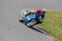 anglesey-no-limits-trackday;anglesey-photographs;anglesey-trackday-photographs;enduro-digital-images;event-digital-images;eventdigitalimages;no-limits-trackdays;peter-wileman-photography;racing-digital-images;trac-mon;trackday-digital-images;trackday-photos;ty-croes