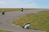 anglesey-no-limits-trackday;anglesey-photographs;anglesey-trackday-photographs;enduro-digital-images;event-digital-images;eventdigitalimages;no-limits-trackdays;peter-wileman-photography;racing-digital-images;trac-mon;trackday-digital-images;trackday-photos;ty-croes