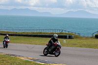 anglesey-no-limits-trackday;anglesey-photographs;anglesey-trackday-photographs;enduro-digital-images;event-digital-images;eventdigitalimages;no-limits-trackdays;peter-wileman-photography;racing-digital-images;trac-mon;trackday-digital-images;trackday-photos;ty-croes