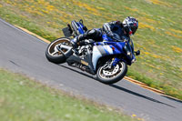 anglesey-no-limits-trackday;anglesey-photographs;anglesey-trackday-photographs;enduro-digital-images;event-digital-images;eventdigitalimages;no-limits-trackdays;peter-wileman-photography;racing-digital-images;trac-mon;trackday-digital-images;trackday-photos;ty-croes