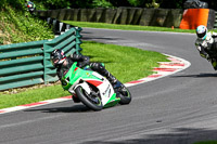 cadwell-no-limits-trackday;cadwell-park;cadwell-park-photographs;cadwell-trackday-photographs;enduro-digital-images;event-digital-images;eventdigitalimages;no-limits-trackdays;peter-wileman-photography;racing-digital-images;trackday-digital-images;trackday-photos