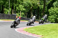 cadwell-no-limits-trackday;cadwell-park;cadwell-park-photographs;cadwell-trackday-photographs;enduro-digital-images;event-digital-images;eventdigitalimages;no-limits-trackdays;peter-wileman-photography;racing-digital-images;trackday-digital-images;trackday-photos