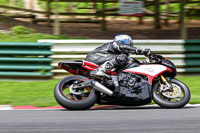 cadwell-no-limits-trackday;cadwell-park;cadwell-park-photographs;cadwell-trackday-photographs;enduro-digital-images;event-digital-images;eventdigitalimages;no-limits-trackdays;peter-wileman-photography;racing-digital-images;trackday-digital-images;trackday-photos