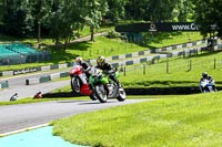 cadwell-no-limits-trackday;cadwell-park;cadwell-park-photographs;cadwell-trackday-photographs;enduro-digital-images;event-digital-images;eventdigitalimages;no-limits-trackdays;peter-wileman-photography;racing-digital-images;trackday-digital-images;trackday-photos