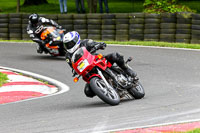 cadwell-no-limits-trackday;cadwell-park;cadwell-park-photographs;cadwell-trackday-photographs;enduro-digital-images;event-digital-images;eventdigitalimages;no-limits-trackdays;peter-wileman-photography;racing-digital-images;trackday-digital-images;trackday-photos