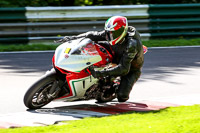 cadwell-no-limits-trackday;cadwell-park;cadwell-park-photographs;cadwell-trackday-photographs;enduro-digital-images;event-digital-images;eventdigitalimages;no-limits-trackdays;peter-wileman-photography;racing-digital-images;trackday-digital-images;trackday-photos