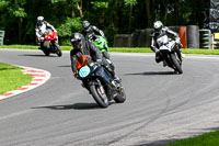 cadwell-no-limits-trackday;cadwell-park;cadwell-park-photographs;cadwell-trackday-photographs;enduro-digital-images;event-digital-images;eventdigitalimages;no-limits-trackdays;peter-wileman-photography;racing-digital-images;trackday-digital-images;trackday-photos