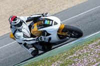 18-to-20th-november-2013;Jerez;event-digital-images;motorbikes;no-limits;peter-wileman-photography;trackday;trackday-digital-images