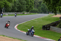 brands-hatch-photographs;brands-no-limits-trackday;cadwell-trackday-photographs;enduro-digital-images;event-digital-images;eventdigitalimages;no-limits-trackdays;peter-wileman-photography;racing-digital-images;trackday-digital-images;trackday-photos