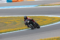 14-to-16th-november-2015;Jerez;event-digital-images;motorbikes;no-limits;peter-wileman-photography;trackday;trackday-digital-images