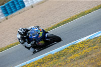 14-to-16th-november-2015;Jerez;event-digital-images;motorbikes;no-limits;peter-wileman-photography;trackday;trackday-digital-images