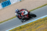 14-to-16th-november-2015;Jerez;event-digital-images;motorbikes;no-limits;peter-wileman-photography;trackday;trackday-digital-images