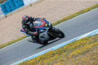 14-to-16th-november-2015;Jerez;event-digital-images;motorbikes;no-limits;peter-wileman-photography;trackday;trackday-digital-images