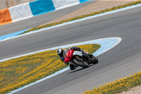 14-to-16th-november-2015;Jerez;event-digital-images;motorbikes;no-limits;peter-wileman-photography;trackday;trackday-digital-images