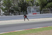 cadwell-no-limits-trackday;cadwell-park;cadwell-park-photographs;cadwell-trackday-photographs;catalunya-barcelona;enduro-digital-images;event-digital-images;eventdigitalimages;no-limits-trackdays;peter-wileman-photography;racing-digital-images;trackday-digital-images;trackday-photos