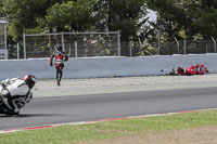 cadwell-no-limits-trackday;cadwell-park;cadwell-park-photographs;cadwell-trackday-photographs;catalunya-barcelona;enduro-digital-images;event-digital-images;eventdigitalimages;no-limits-trackdays;peter-wileman-photography;racing-digital-images;trackday-digital-images;trackday-photos