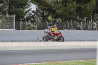 cadwell-no-limits-trackday;cadwell-park;cadwell-park-photographs;cadwell-trackday-photographs;catalunya-barcelona;enduro-digital-images;event-digital-images;eventdigitalimages;no-limits-trackdays;peter-wileman-photography;racing-digital-images;trackday-digital-images;trackday-photos