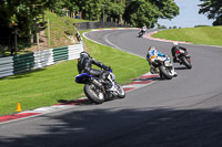 cadwell-no-limits-trackday;cadwell-park;cadwell-park-photographs;cadwell-trackday-photographs;enduro-digital-images;event-digital-images;eventdigitalimages;no-limits-trackdays;peter-wileman-photography;racing-digital-images;trackday-digital-images;trackday-photos