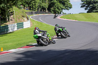 cadwell-no-limits-trackday;cadwell-park;cadwell-park-photographs;cadwell-trackday-photographs;enduro-digital-images;event-digital-images;eventdigitalimages;no-limits-trackdays;peter-wileman-photography;racing-digital-images;trackday-digital-images;trackday-photos