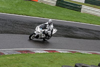 Lower Group White Bikes