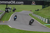 cadwell-no-limits-trackday;cadwell-park;cadwell-park-photographs;cadwell-trackday-photographs;enduro-digital-images;event-digital-images;eventdigitalimages;no-limits-trackdays;peter-wileman-photography;racing-digital-images;trackday-digital-images;trackday-photos