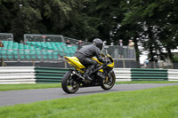 Lower Group Yellow Bikes