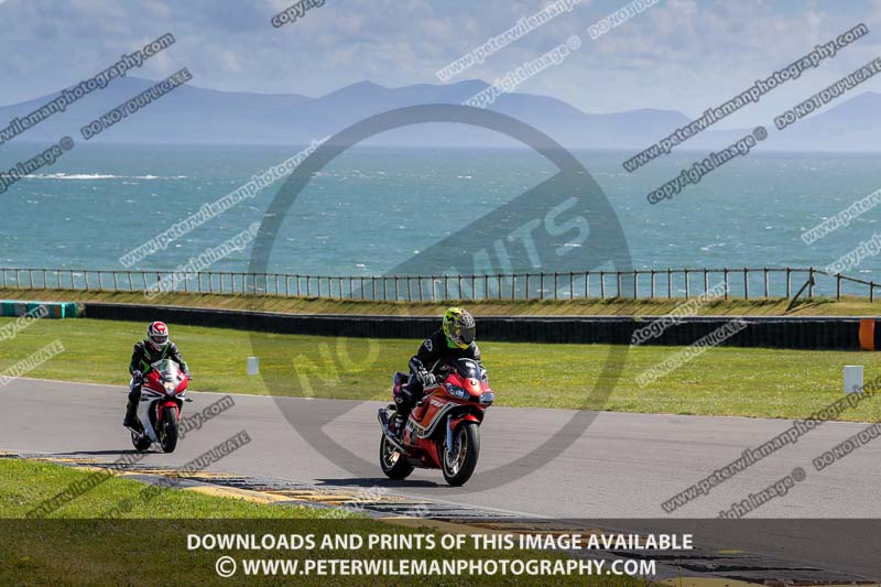 anglesey no limits trackday;anglesey photographs;anglesey trackday photographs;enduro digital images;event digital images;eventdigitalimages;no limits trackdays;peter wileman photography;racing digital images;trac mon;trackday digital images;trackday photos;ty croes