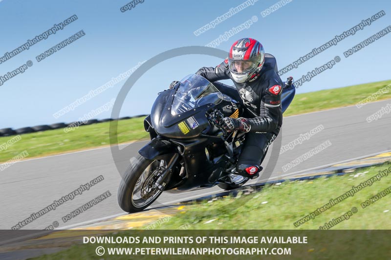 anglesey no limits trackday;anglesey photographs;anglesey trackday photographs;enduro digital images;event digital images;eventdigitalimages;no limits trackdays;peter wileman photography;racing digital images;trac mon;trackday digital images;trackday photos;ty croes