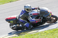 anglesey-no-limits-trackday;anglesey-photographs;anglesey-trackday-photographs;enduro-digital-images;event-digital-images;eventdigitalimages;no-limits-trackdays;peter-wileman-photography;racing-digital-images;trac-mon;trackday-digital-images;trackday-photos;ty-croes